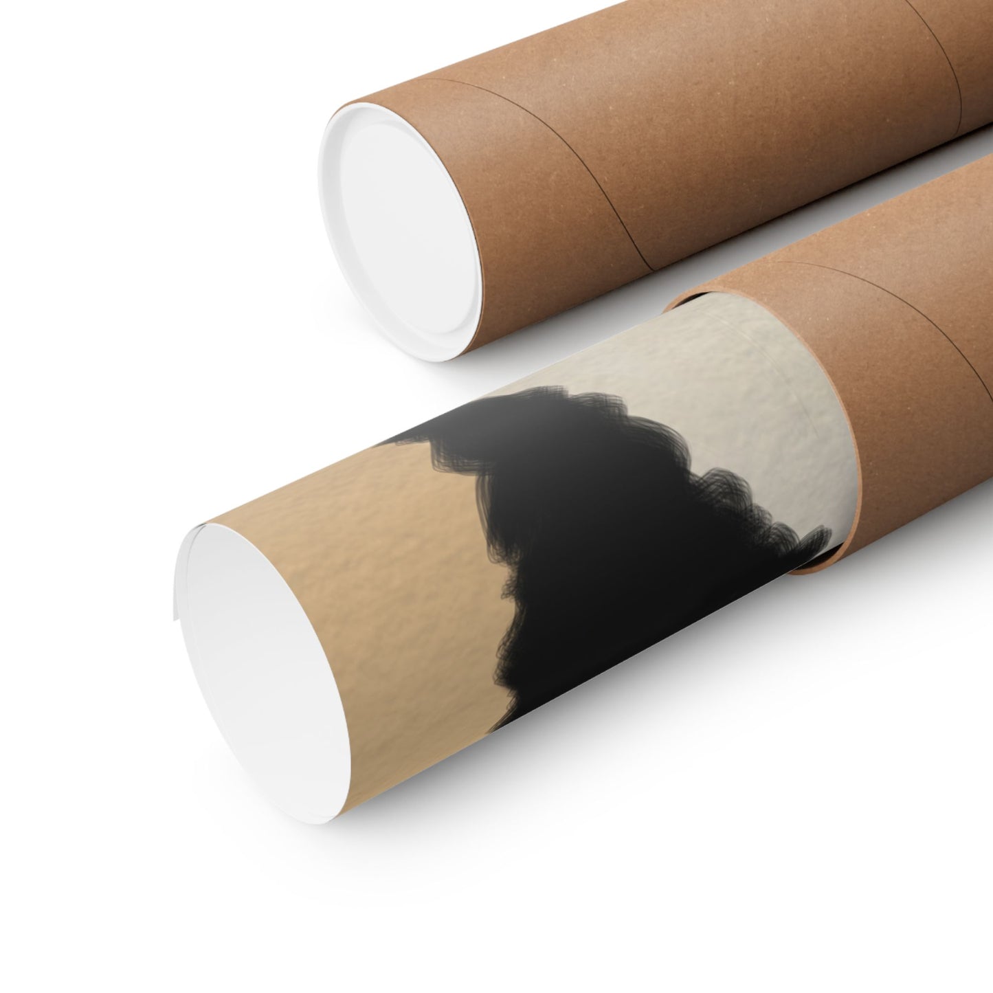 Daisys Stare -  Frameless Art Print for Cozy Home Decor