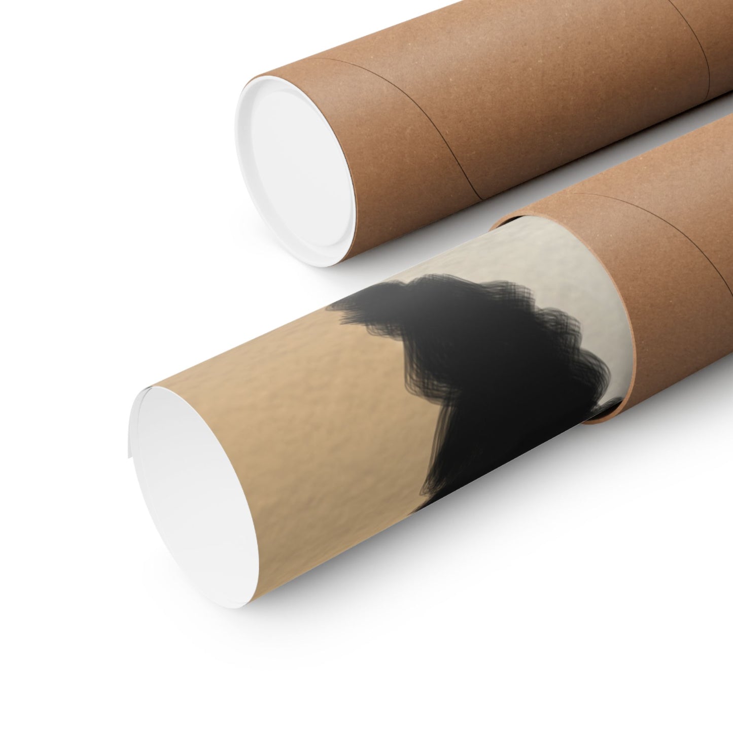 Daisys Stare -  Frameless Art Print for Cozy Home Decor